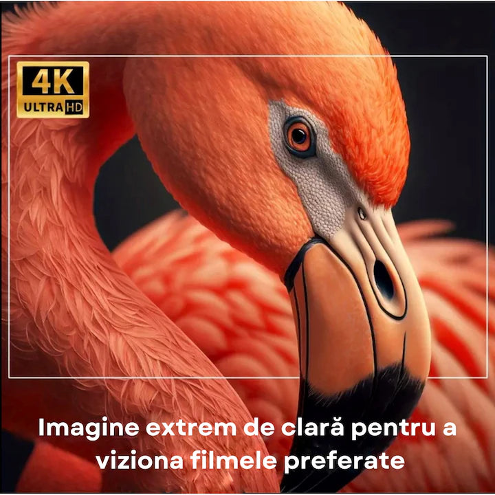 Videoproiector Smart LED Premium Castellano®, Portabil, 4K UltraHD, Android 11, Difuzor Incorporat, 5000 Lumeni, Wi-Fi6, Bluetooth 5.0, Proiectie Ajustabila, 200Ansi, Conexiune HDMI, USB si Mirroring Android/IOS, 1 GB RAM, 8 GB memorie, Rotatie 180 Grade